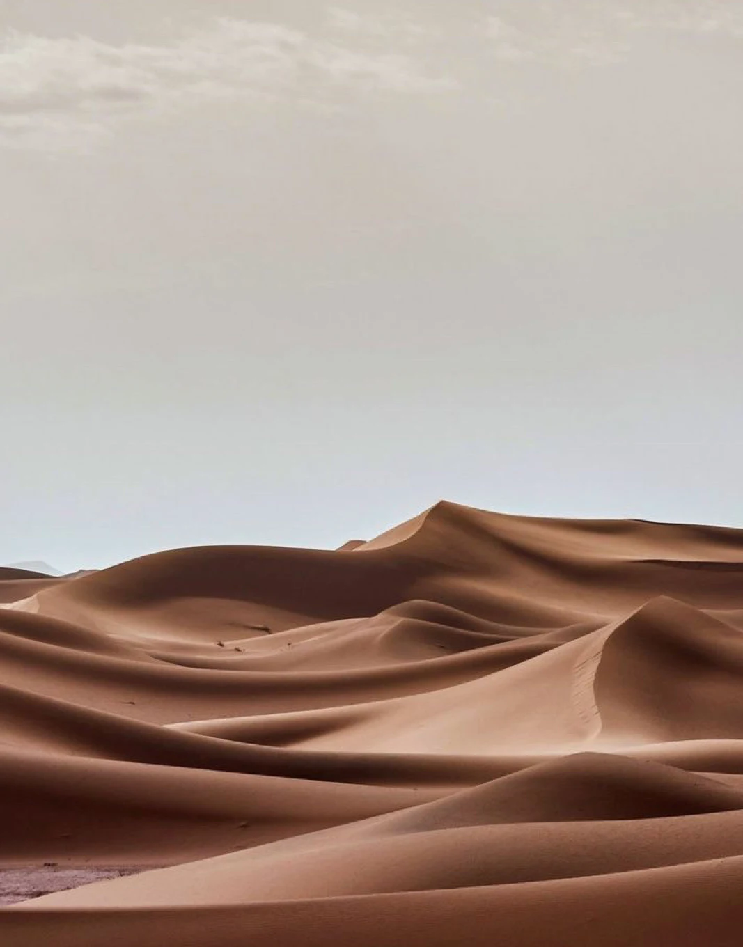 Dunes du désert